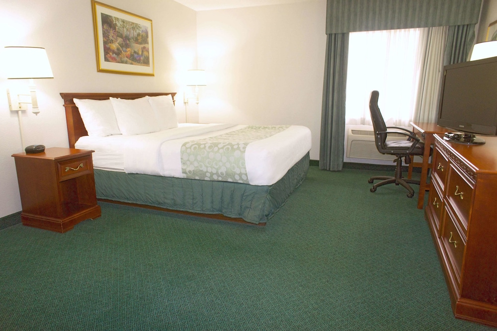 Suite, 1 King Bed